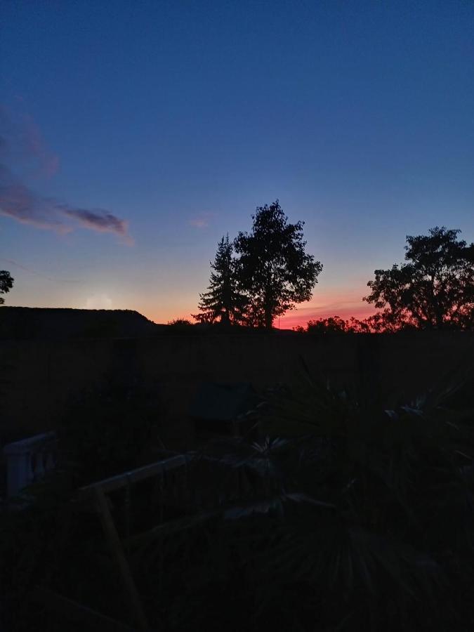 Ferienwohnung Neli Am Rhein Rheinbrohl Bagian luar foto