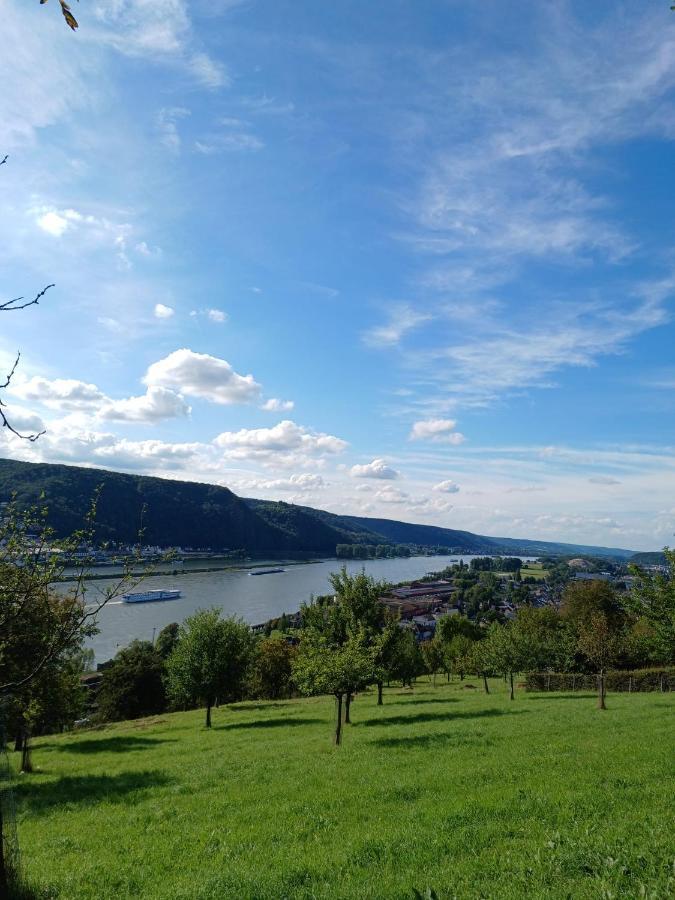 Ferienwohnung Neli Am Rhein Rheinbrohl Bagian luar foto