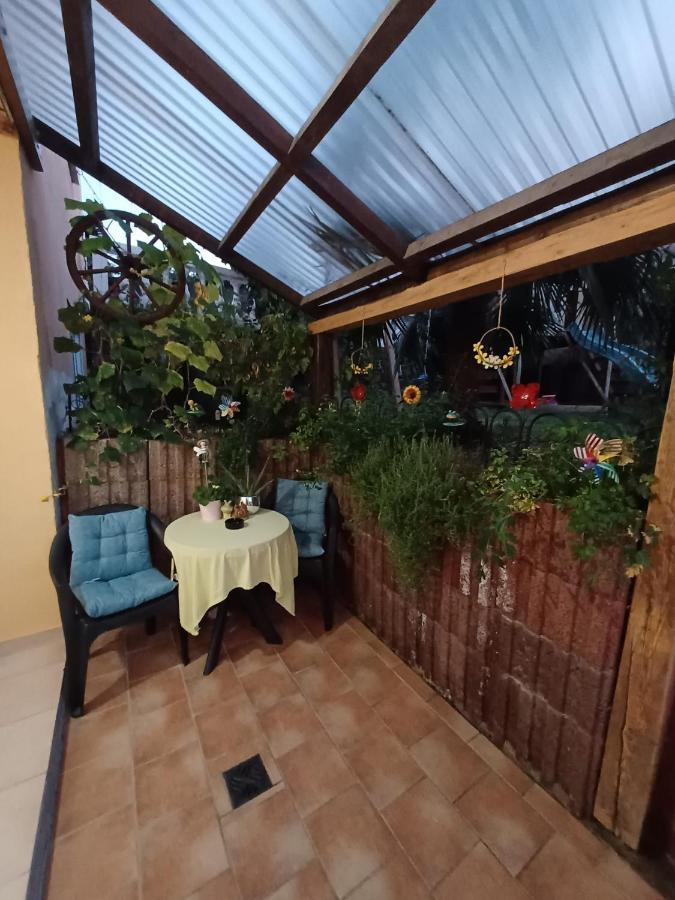 Ferienwohnung Neli Am Rhein Rheinbrohl Bagian luar foto