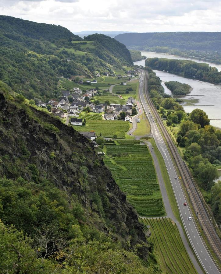 Ferienwohnung Neli Am Rhein Rheinbrohl Bagian luar foto