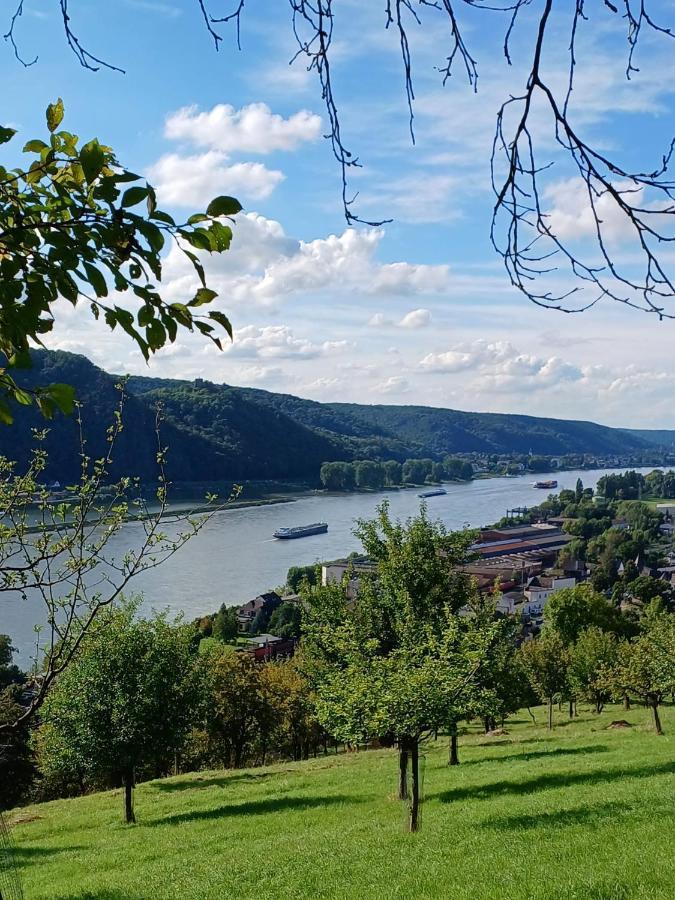 Ferienwohnung Neli Am Rhein Rheinbrohl Bagian luar foto